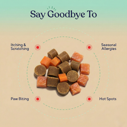 Allergy & Immune Support Chews - Anti-Itch, Skin Relief & Seasonal Allergy Defense for Dogs