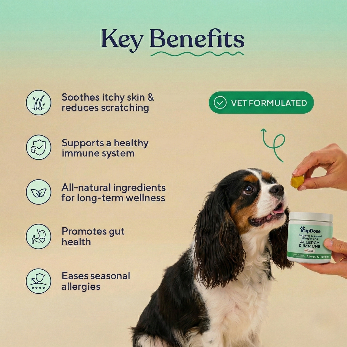 Allergy & Immune Support Chews - Anti-Itch, Skin Relief & Seasonal Allergy Defense for Dogs